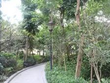 时代御京新城 3室2厅 东南