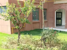 华乐家园11层顶加阁 五室三厅三卫 阁楼利用空间大