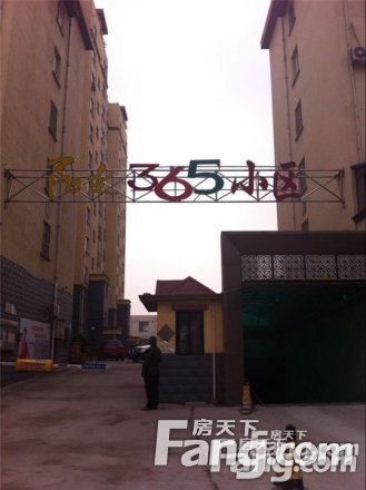 阳光365