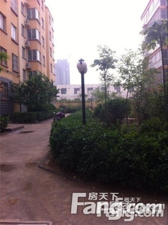阳光365
