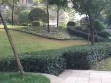 龙头寺 鲁能星城六街区三房155万