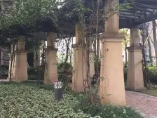 鲁能星城六街区 1室1厅1卫 精装修 拎包入住