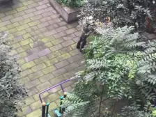 牛角沱轻轨站旁小户型,居家安静,出行方便