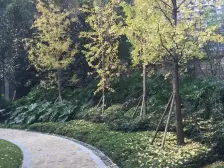 龙头寺 鲁能星城六街区四房388万