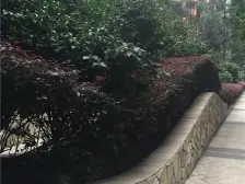 石桥铺 华宇名都城三房159万