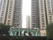 洋河片区 洋河花园四房120万