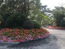 区政府盘 大社区 户型好 业主急售