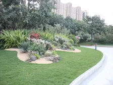 碧桂园物业 大朗镇 R1线大朗站