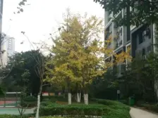 大城小爱 2室1厅 南