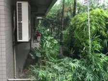 同小区性价比超高天气炎热看房赠送奶茶一杯空调车车接送