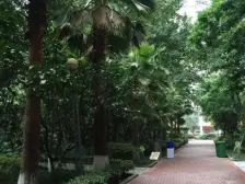 沙滨路正规两房户型方正出行方便业主诚心出售