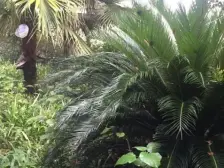 视野位置好采光好,户型方正,居家舒适安心