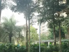 沙滨路 保利康桥三房120万