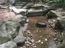 俊峰龙凤云洲 2室1厅 南