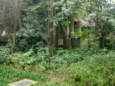 俊峰香格里拉 4室2厅 东北