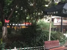 华宇广场 1室2厅 西南