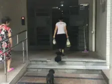 轻轨口,轻轨口,拎包入住,配套齐全。