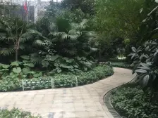 南坪商圈 正规一室一厅 视野好 采光好 楼层好