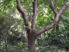 沙滨路大露台 采光视野好 诚心出售