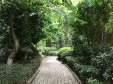 金沙港湾清水房,可以看江,正规3室2厅2卫