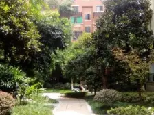 蓝溪谷地,花园洋房,户型方正,业主自住保养好,
