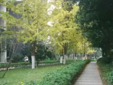 新上全新精装三房,采光好户型方正,视野好,急售