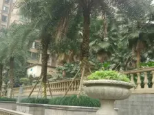 保利康桥 3室2厅 西南