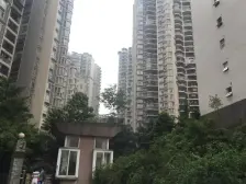 带露台 诚心卖 三峡广场边上 沙坪公园边上