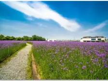 世合理想大地静和里,电梯洋房大平层带车位