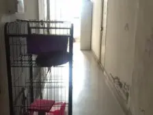 两室一厅,双轨及多路公交。总价低,生活配套齐