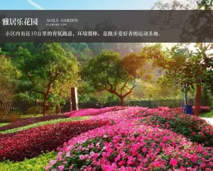 雅居乐十里花巷 4室2厅 西南