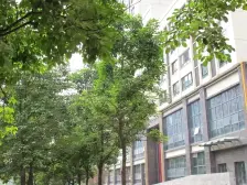 上城奥悦 2室2厅 东