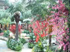 恒大御景 南北通透,采光好 视野好,诚心出售