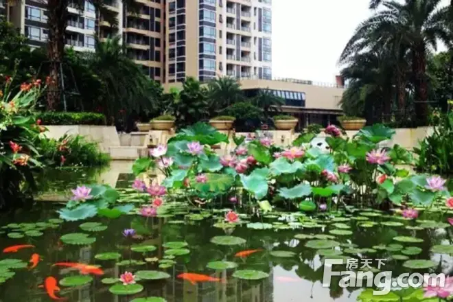 小榄锦园