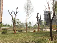 万郡大都城 不临街 中间楼层 奥体公园 环境优美