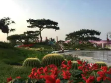 房子户型好,南北通透,楼层好,视野开阔,采光无..