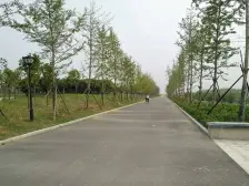 房子户型好,楼层好,视野开阔,采光无忧