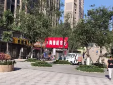 中海国际C3地块中海国际公馆 2室2厅 南 北