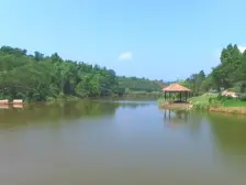 璧山街道 中铁任之健康城康悦府三房98万