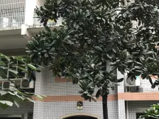 新城丽园 2室1厅 南