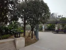 南滨六号 3室1厅 南