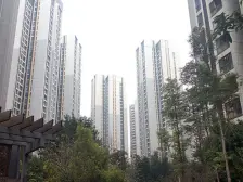 加州新牌坊 北城国际中心四房