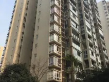 森岭居电梯大两房 采光好视野开阔业主急售