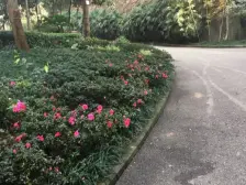 长安丽都 3室1厅 东 东南 南 西南