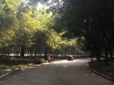 长安丽都 1室1厅 东南 南