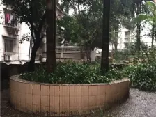 城中小区环境好带电梯哦的房子哦