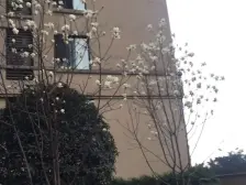 康德国际精装大两单,装修绝绝子!中间楼层真的好