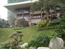 虎门碧桂园一期 精装一房 自带阳台