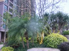 业主诚心出售,价格可小谈.......