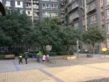 花卉园双轻轨 金城国际电梯 精装修 配套齐全 出入方便